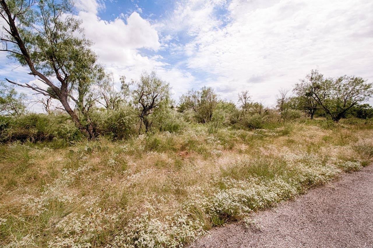 0.2 acres in Llano County - photo 8