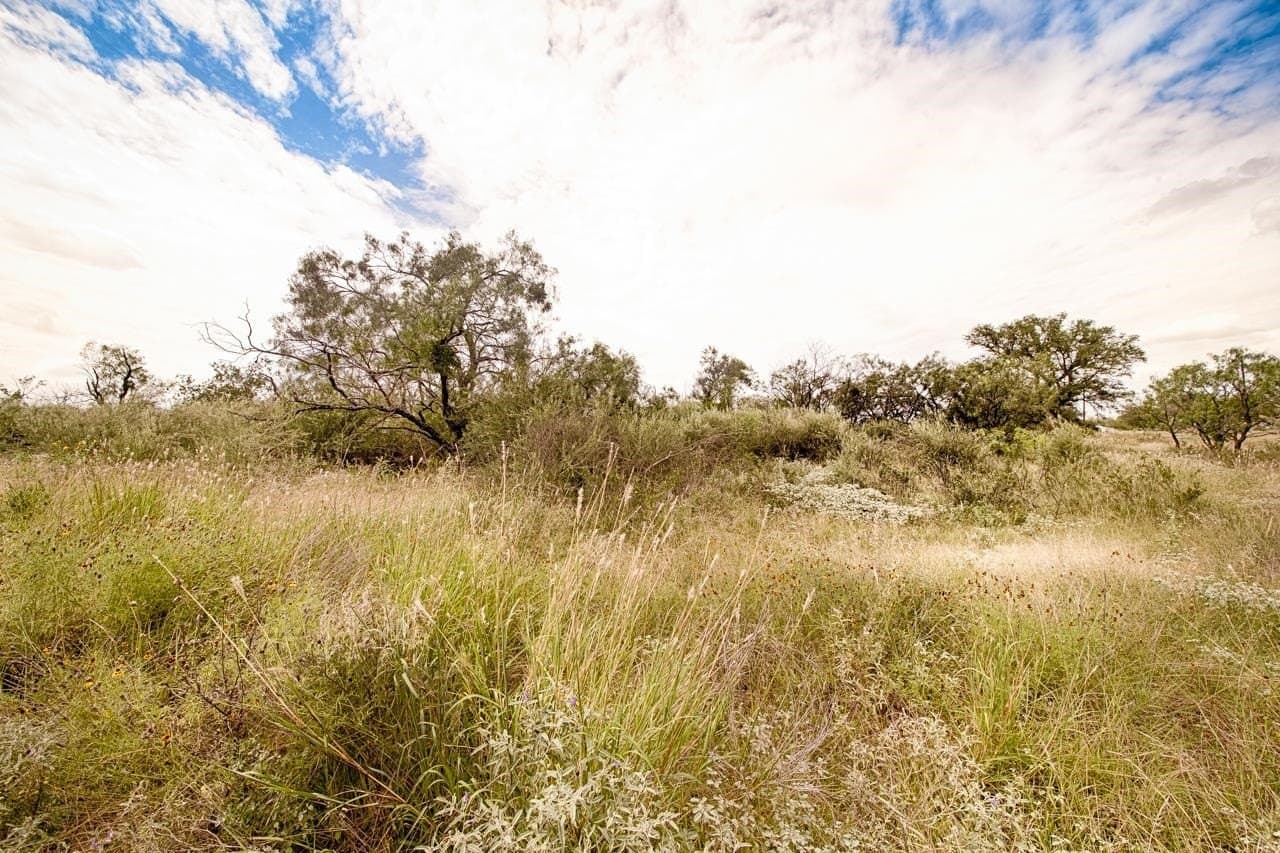 0.2 acres in Llano County gallery image 4