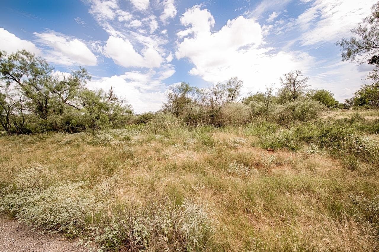 0.2 acres in Llano County - photo 7