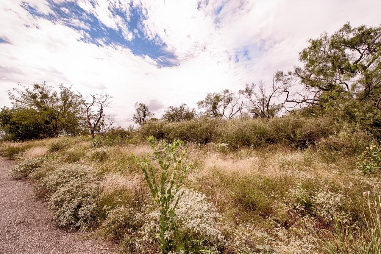 0.2 acres in Llano County featured view