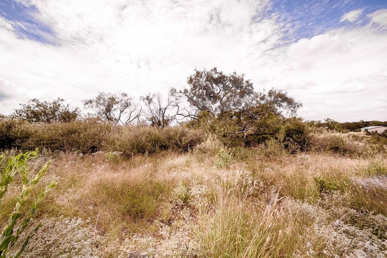 0.2 acres in Llano County gallery image 3
