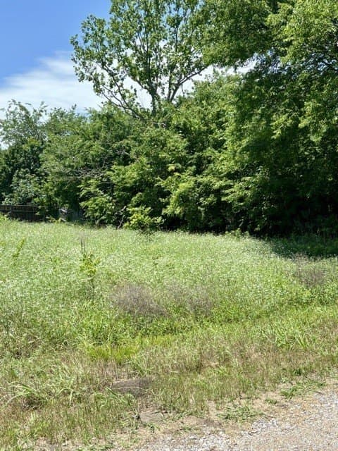 0.16 acres in Hunt County gallery image 3