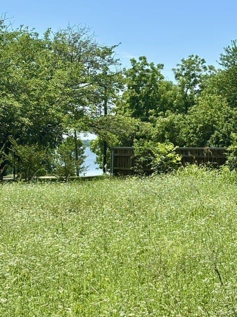 0.16 acres in Hunt County gallery image 4