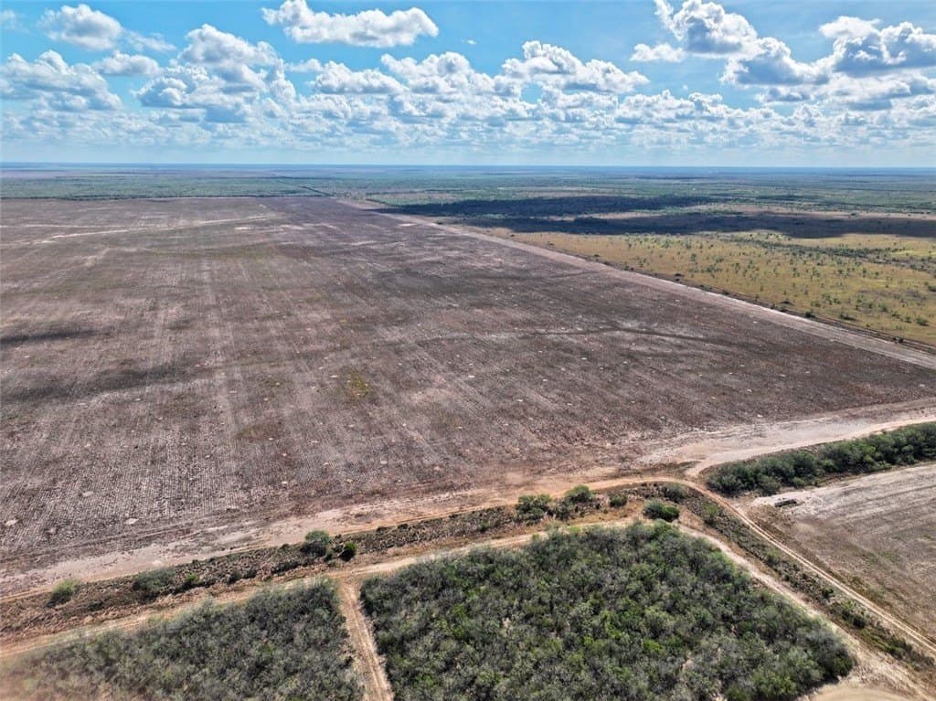 103.61 acres in Jim Wells County gallery image 2