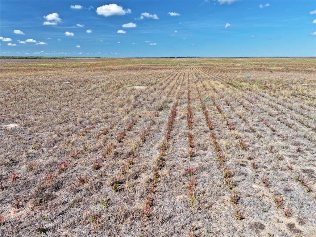 103.61 acres in Jim Wells County - photo 8