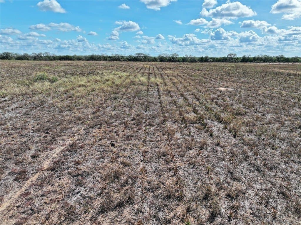 103.61 acres in Jim Wells County - photo 9