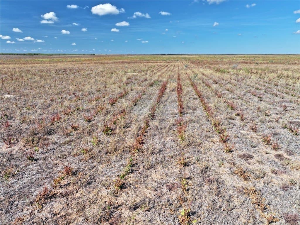 103.61 acres in Jim Wells County - photo 7