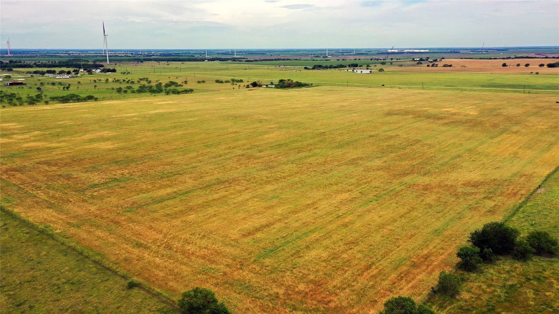 613.39 acres in Navarro County - photo 12