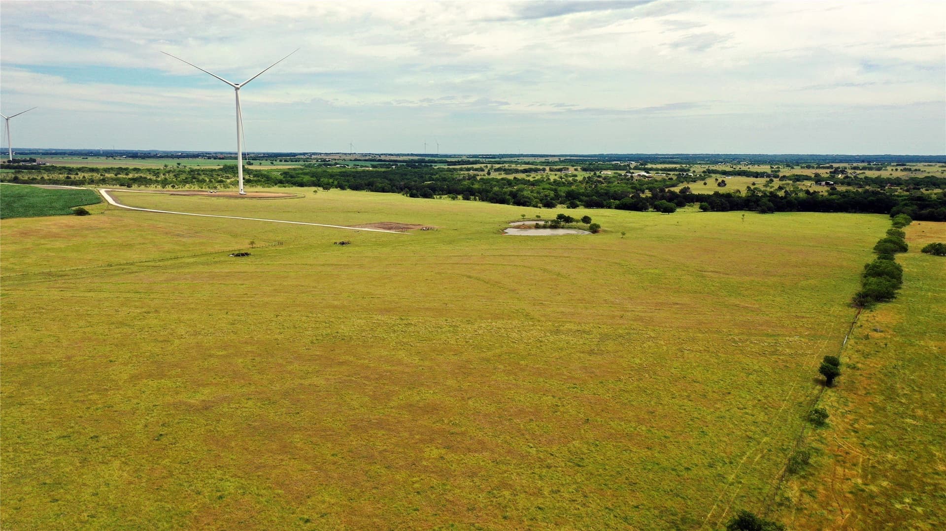 613.39 acres in Navarro County - photo 13