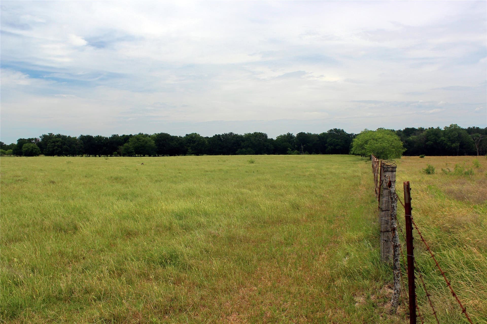 613.39 acres in Navarro County - photo 8