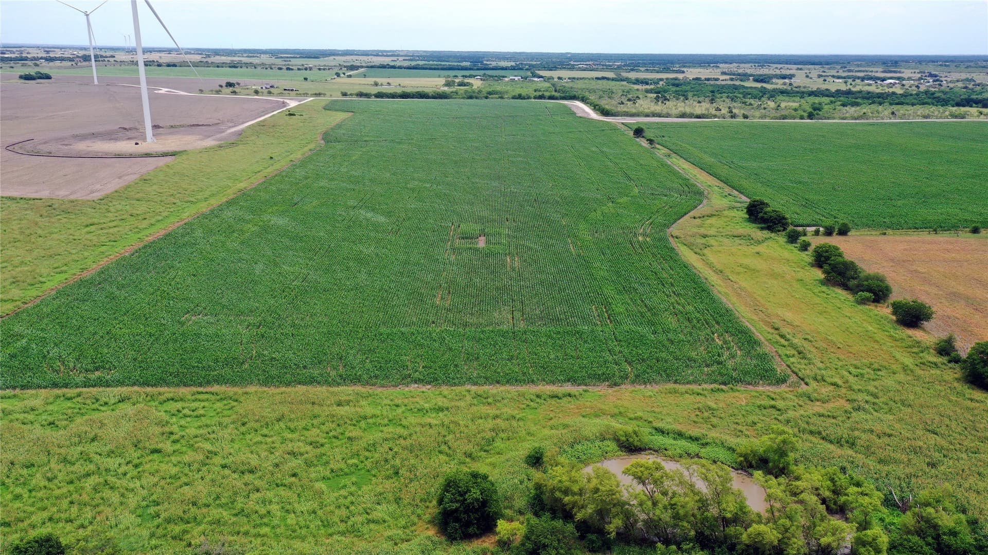 613.39 acres in Navarro County - photo 7