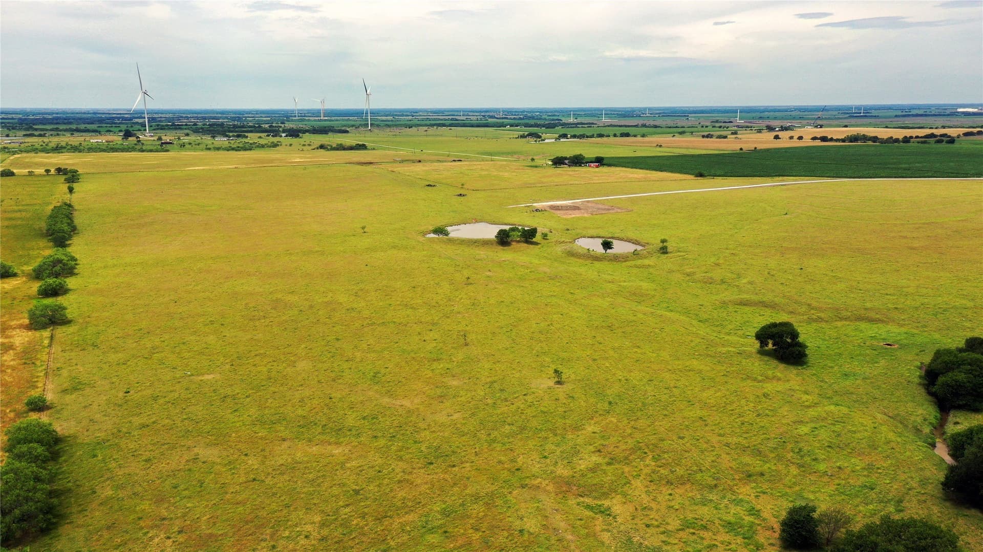 613.39 acres in Navarro County - photo 14