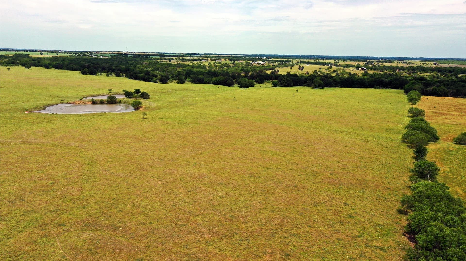 613.39 acres in Navarro County - photo 9