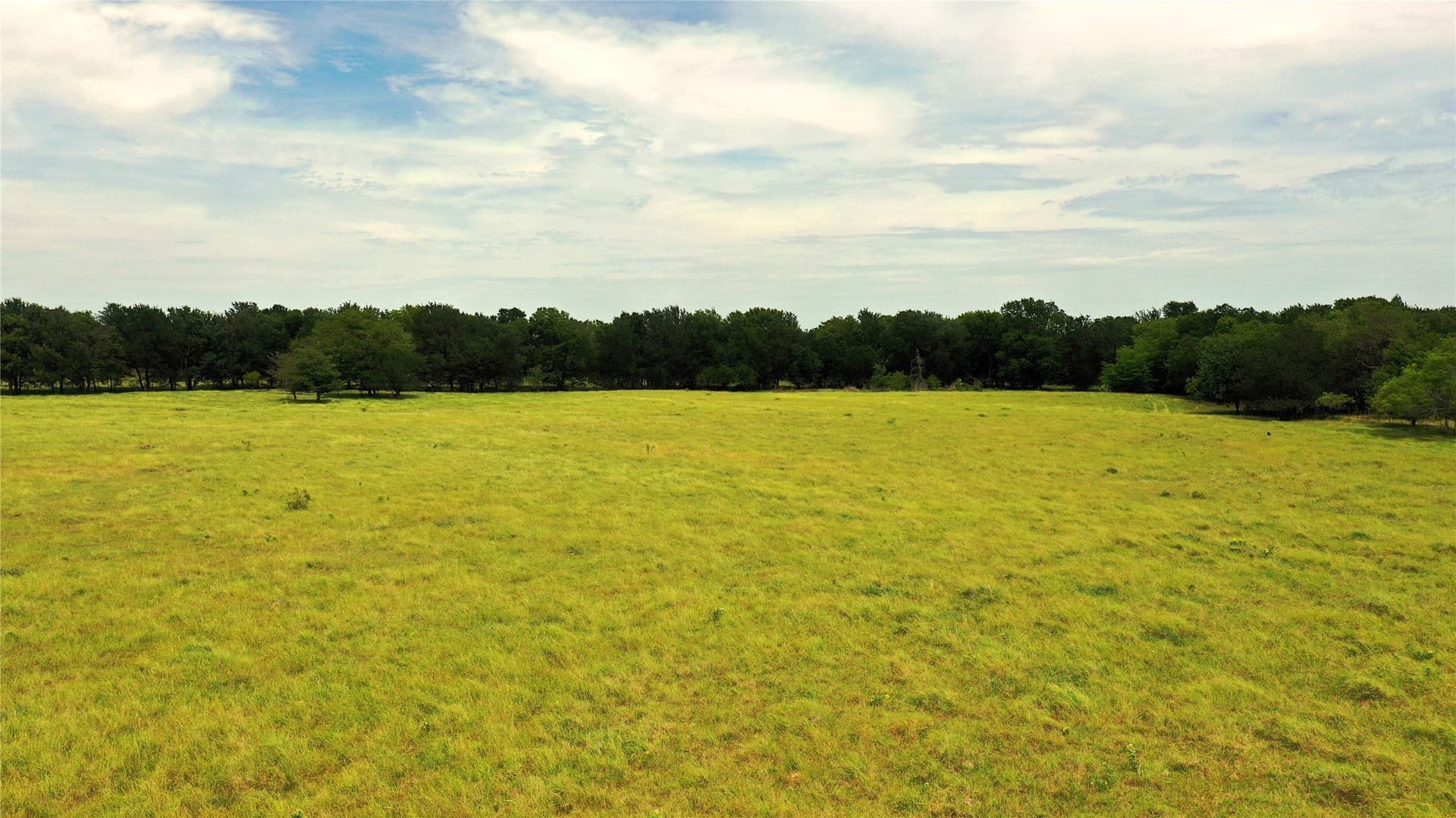 613.39 acres in Navarro County