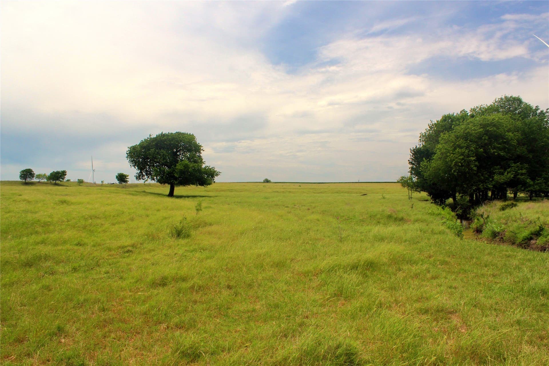 613.39 acres in Navarro County gallery image 2