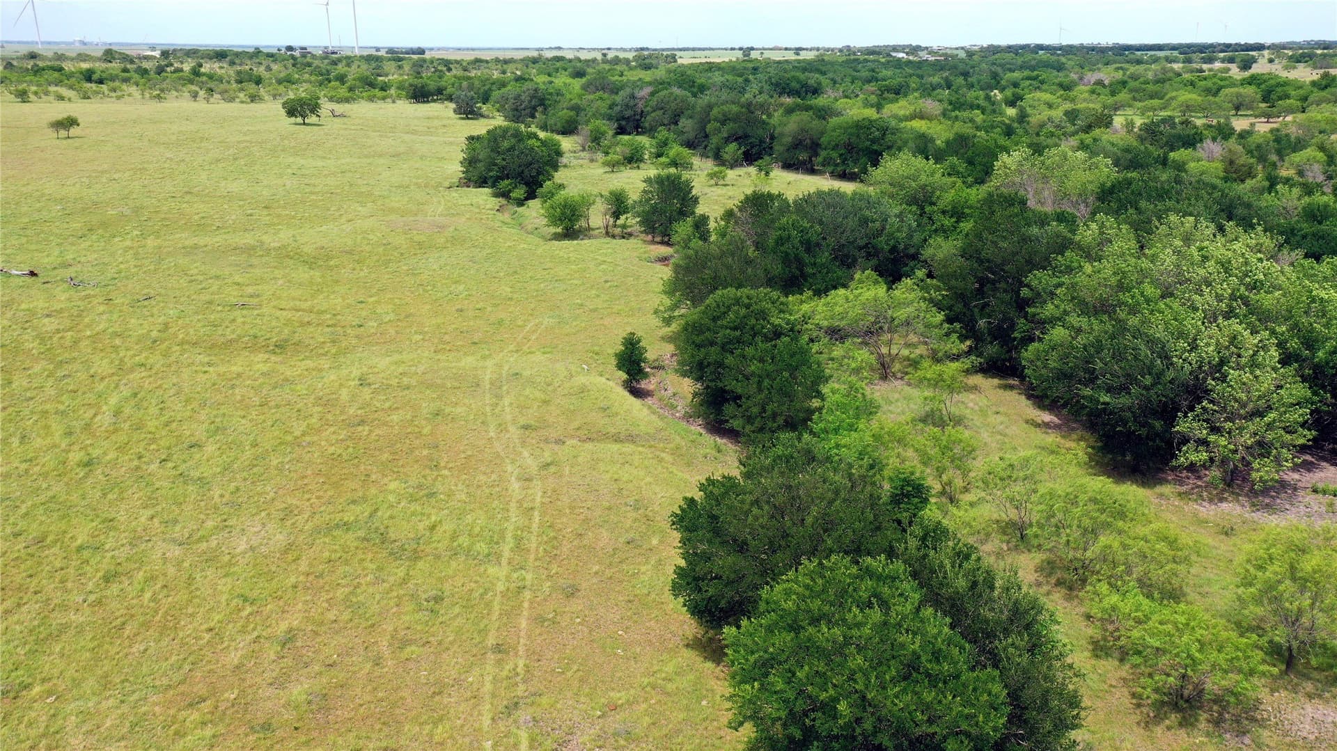 613.39 acres in Navarro County gallery image 4