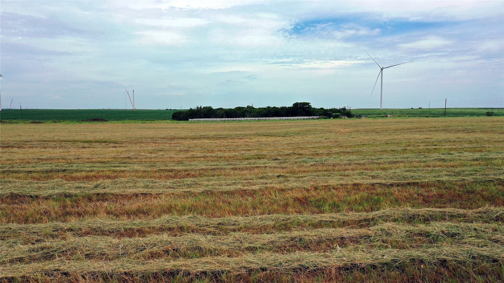 613.39 acres in Navarro County gallery image 3