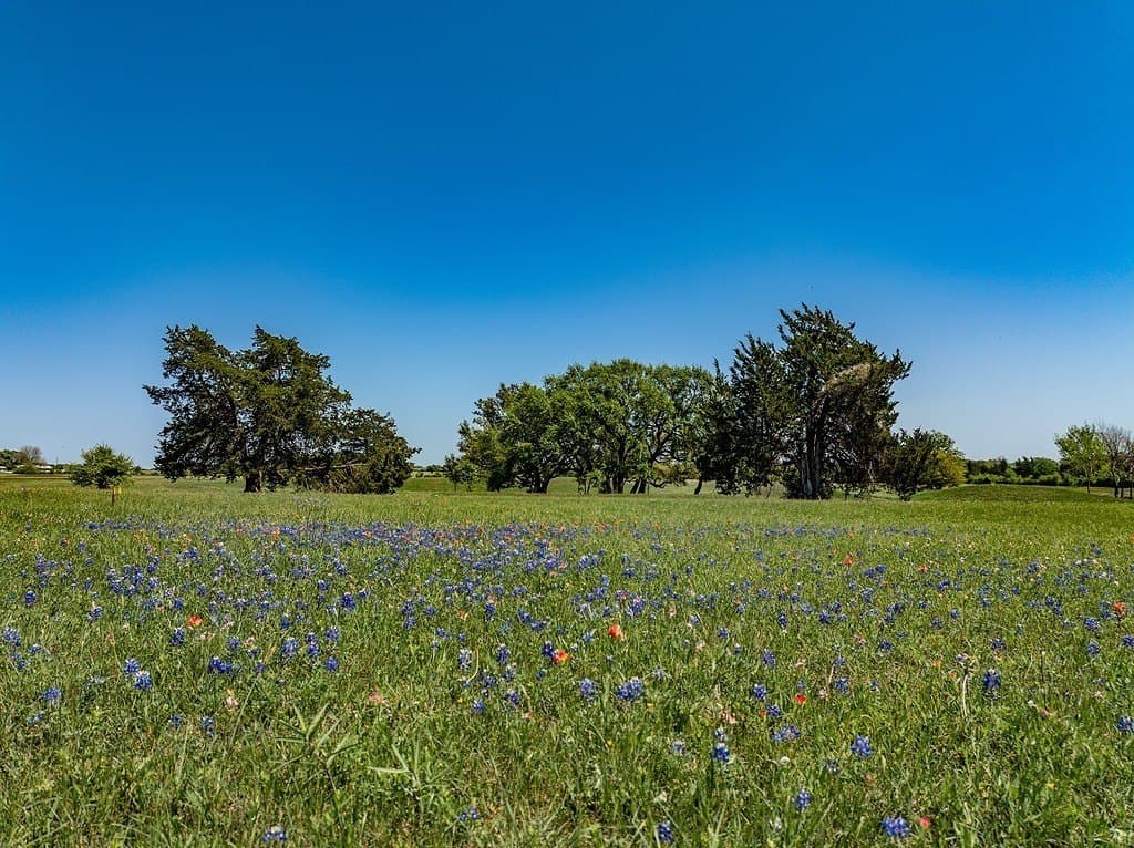 6.25 acres in Fayette County - photo 6