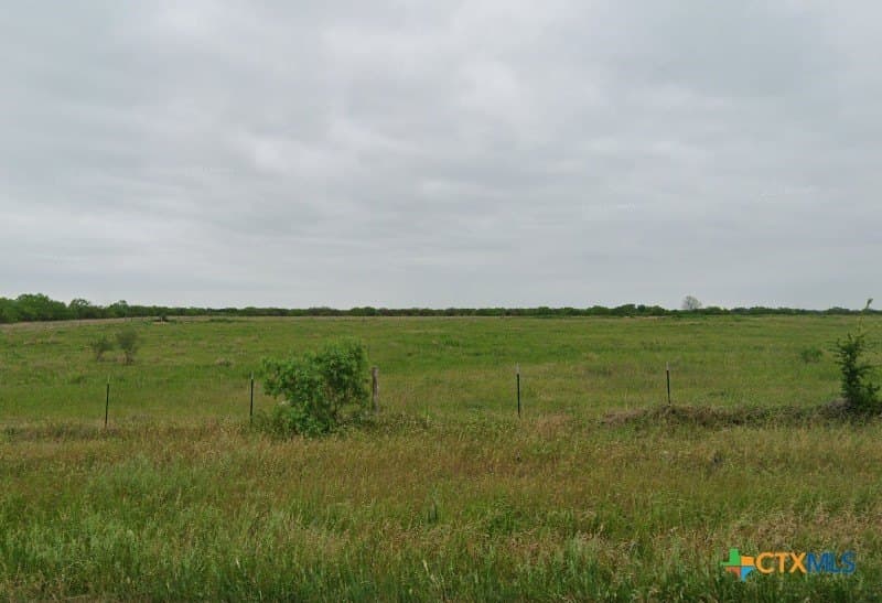 36.33 acres in Gonzales County gallery image 3