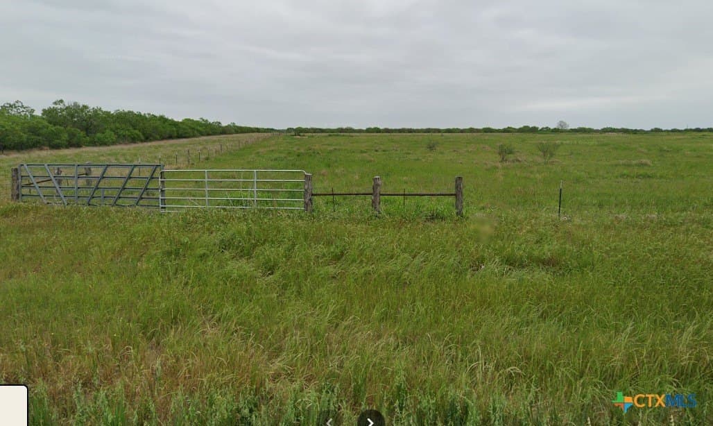 36.33 acres in Gonzales County gallery image 4