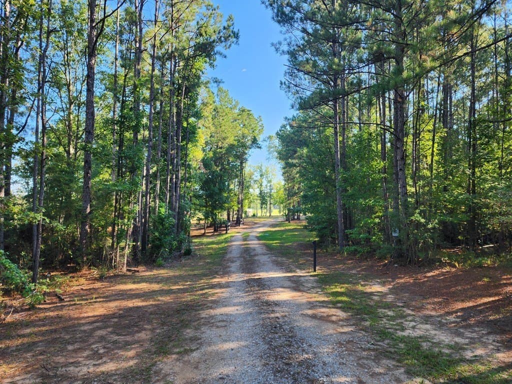 45.62 acres in Texas County gallery image 4