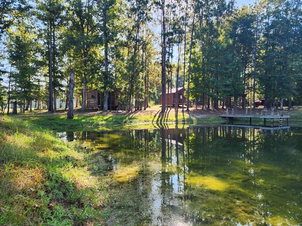 45.62 acres in Texas County featured view