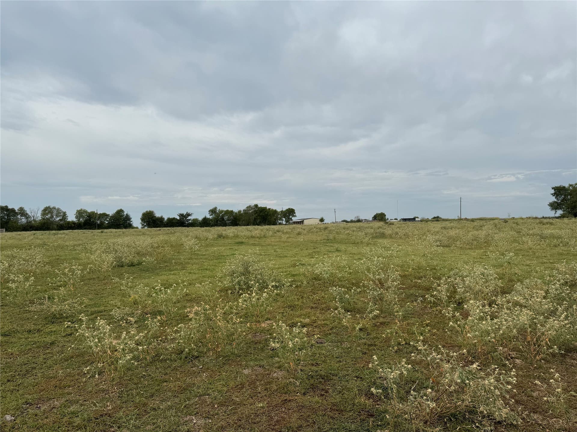 11 acres in Fannin County - photo 4