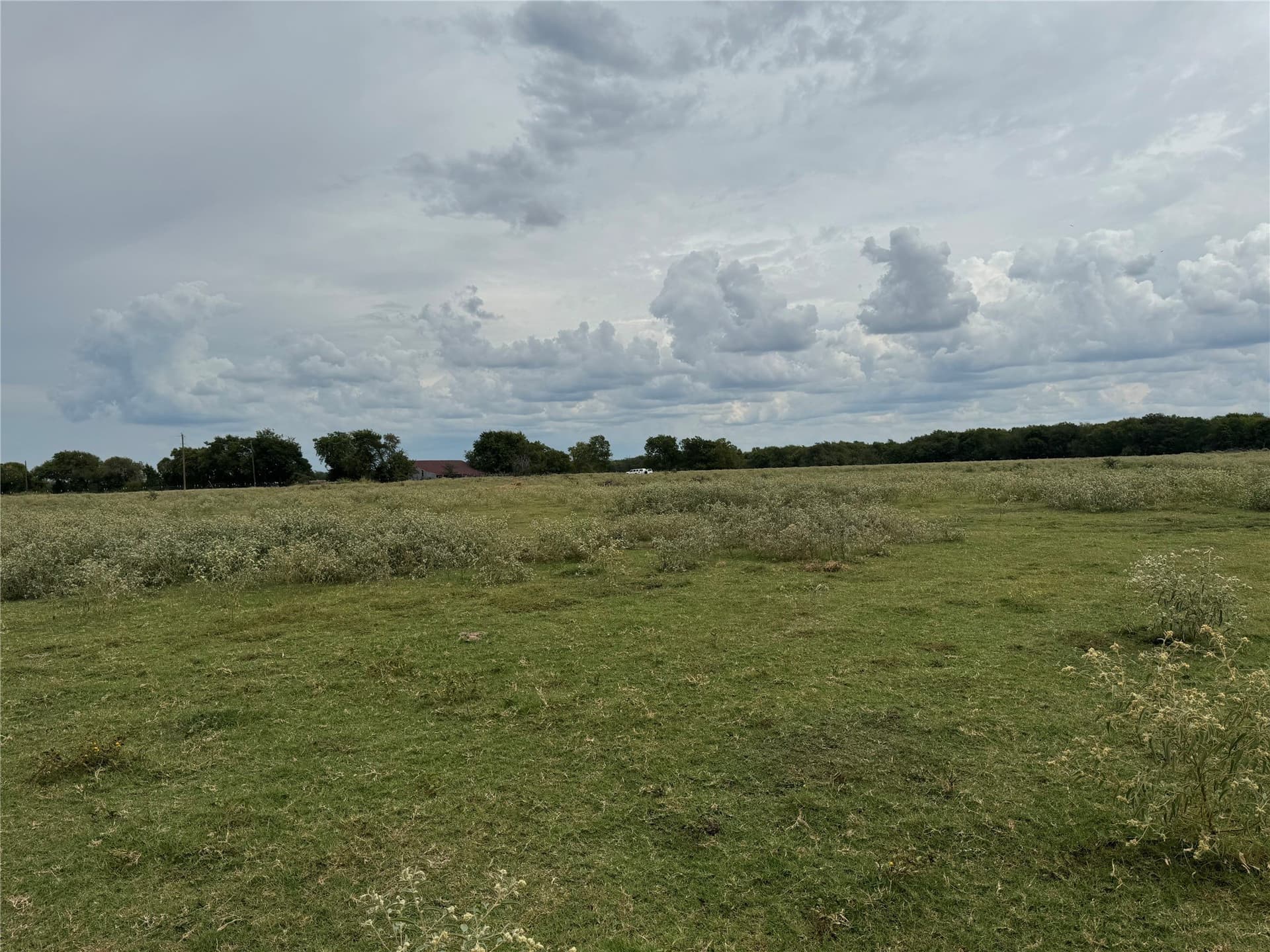 11 acres in Fannin County - photo 3