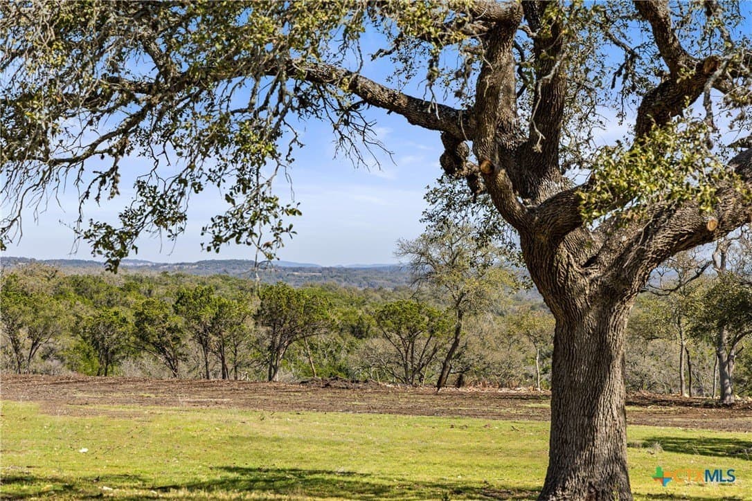 147 acres in Blanco County gallery image 2