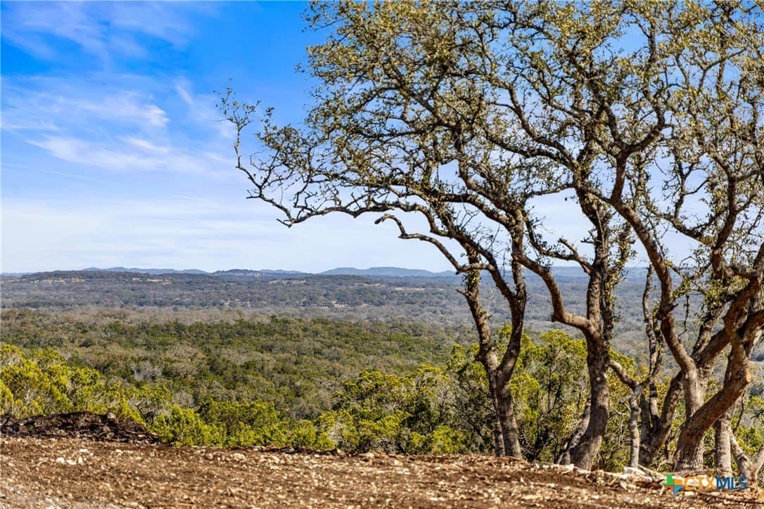 147 acres in Blanco County gallery image 3