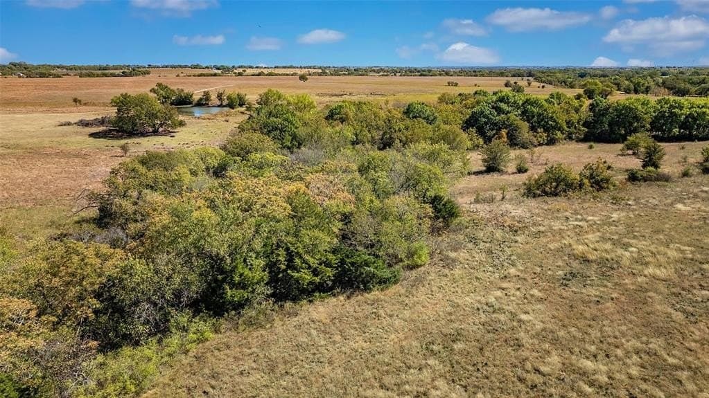 53.93 acres in Cooke County gallery image 2