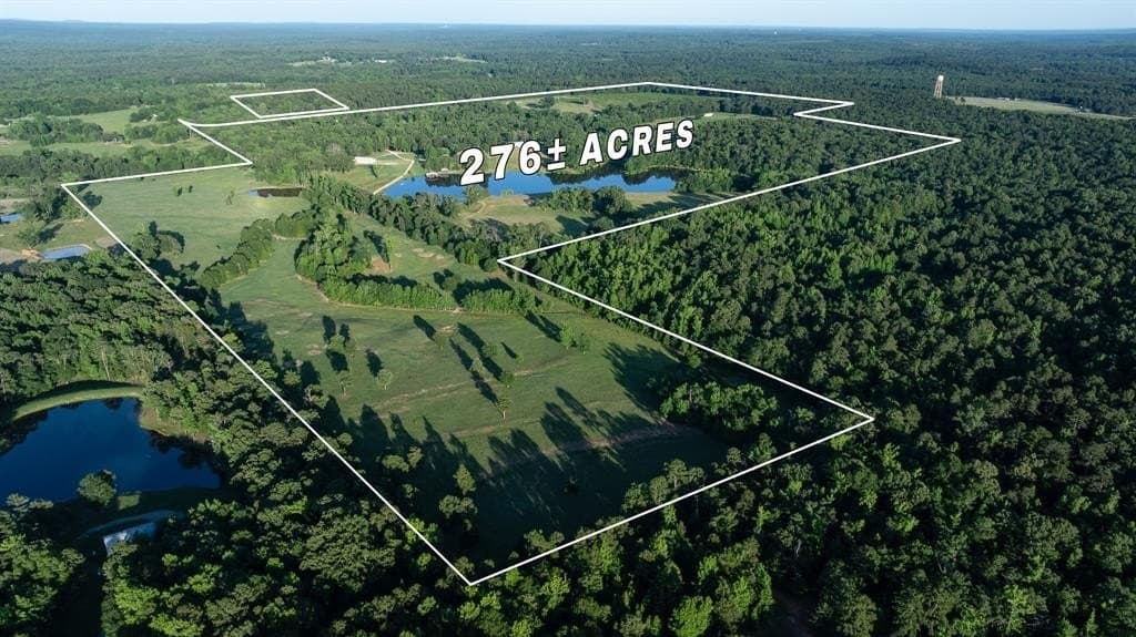 276.4 acres in Wood County gallery image 3