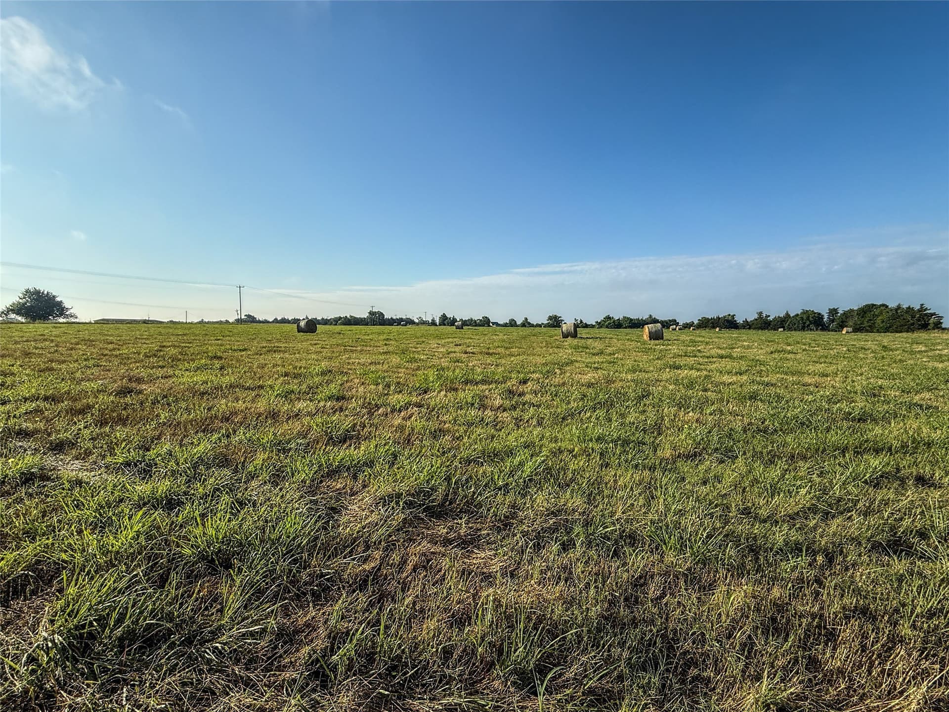 11.91 acres in Fannin County - photo 14