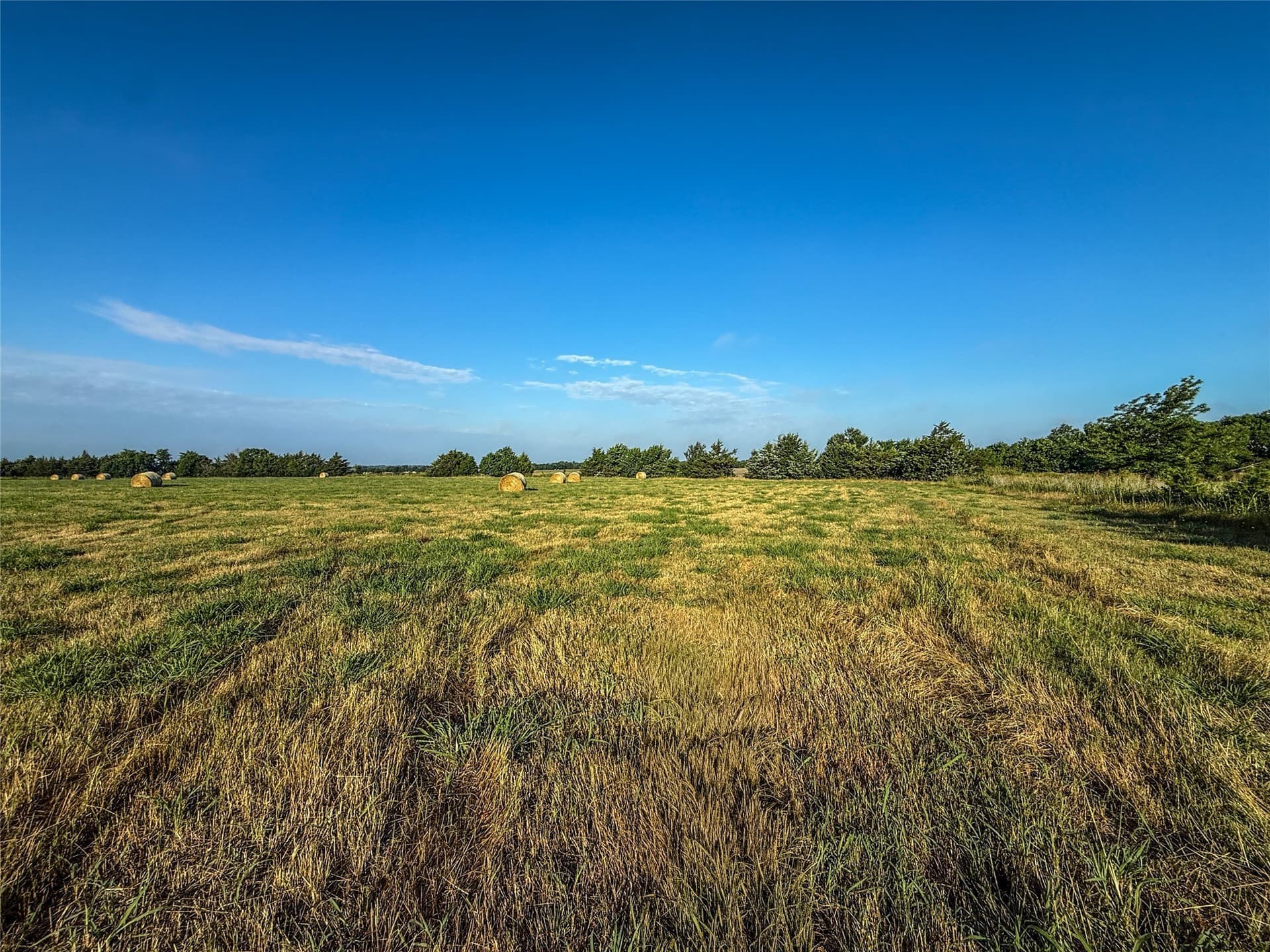 11.91 acres in Fannin County - photo 13