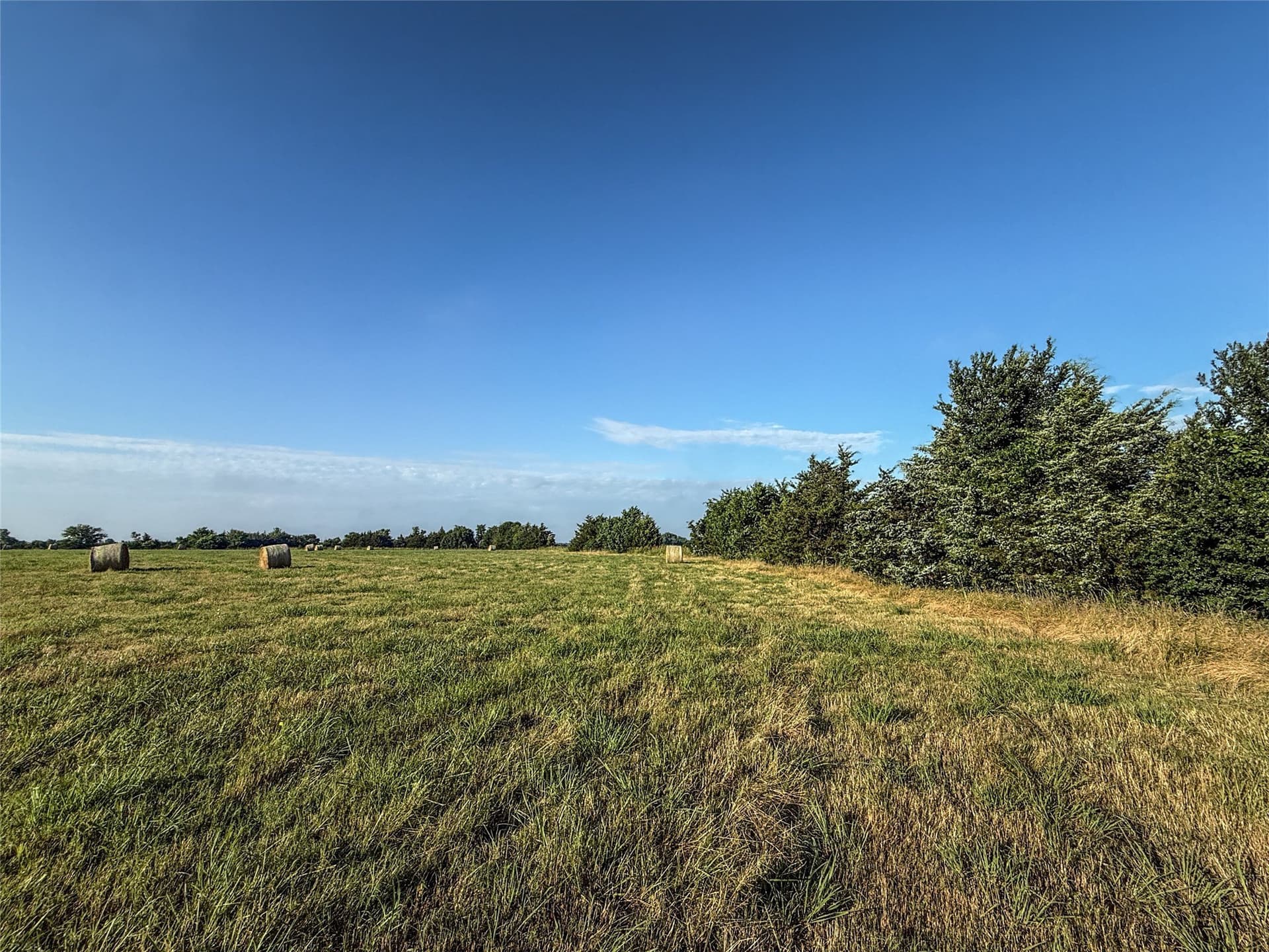 11.91 acres in Fannin County - photo 15