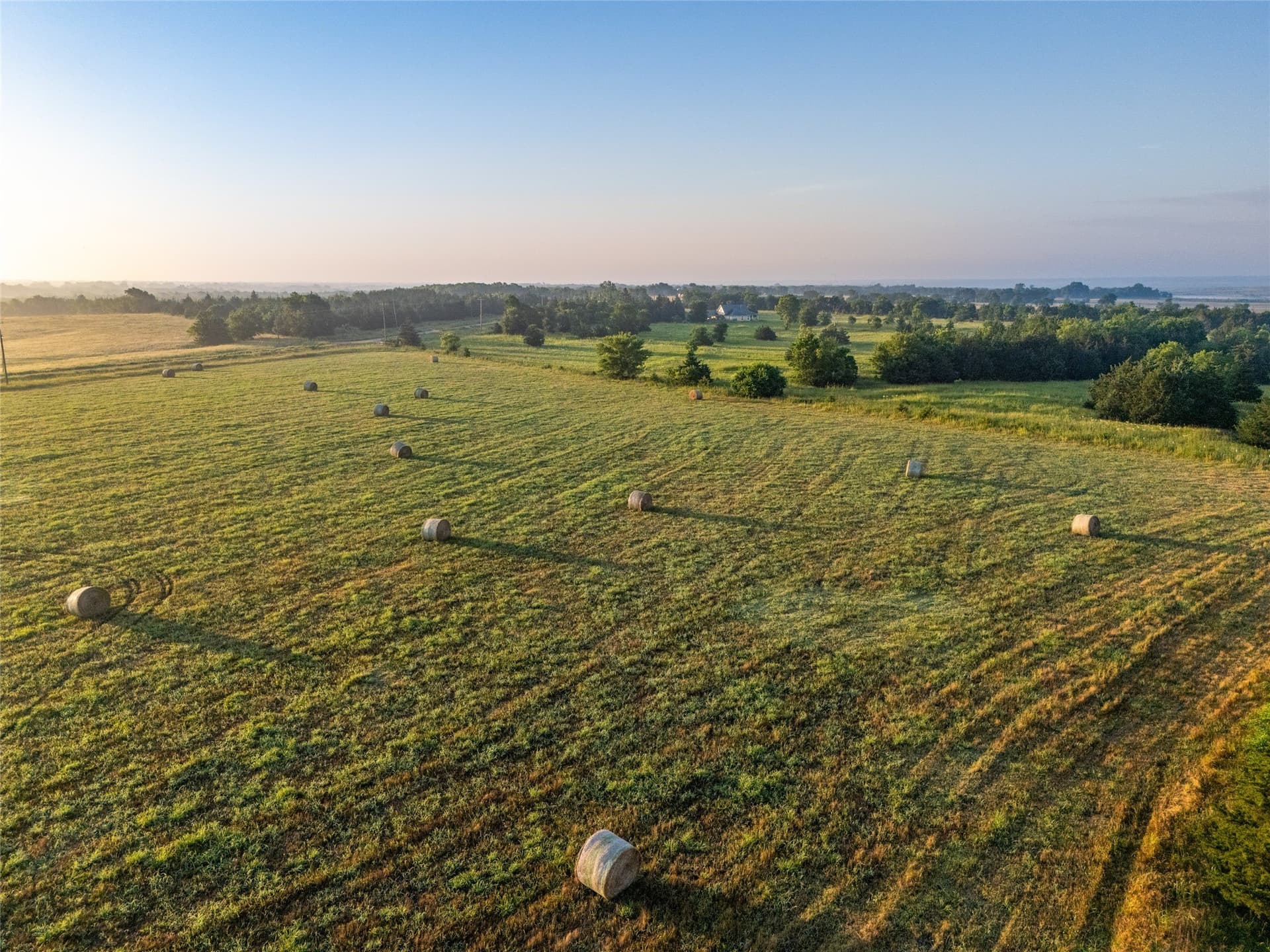 11.91 acres in Fannin County gallery image 3