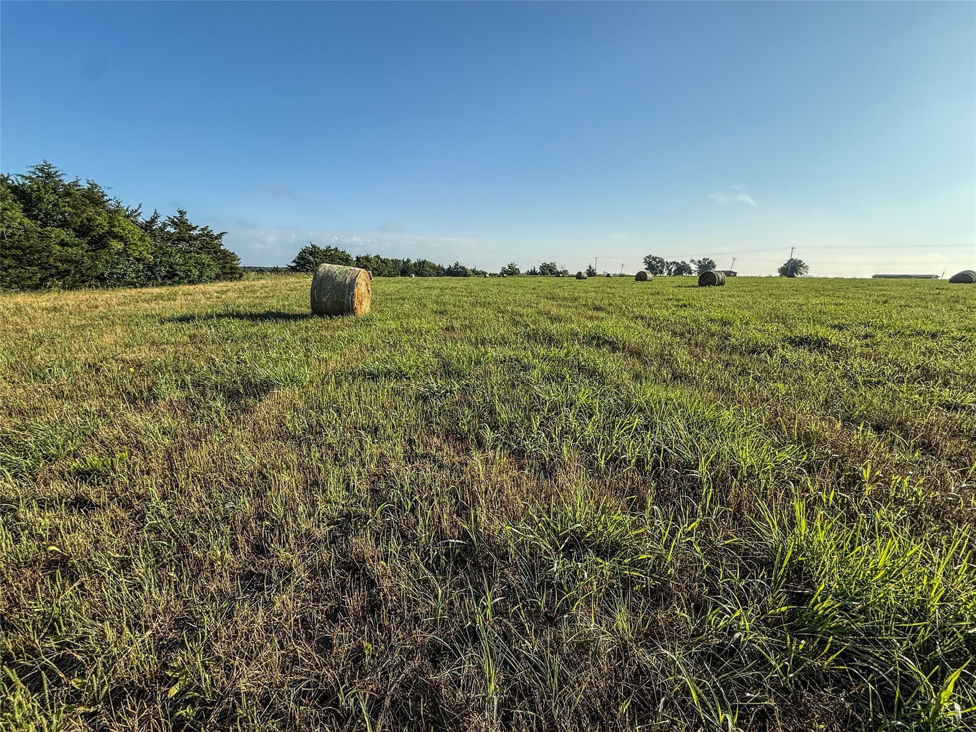 11.91 acres in Fannin County - photo 17