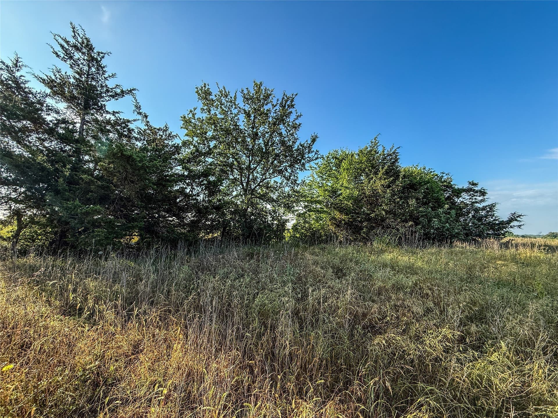 11.91 acres in Fannin County - photo 16