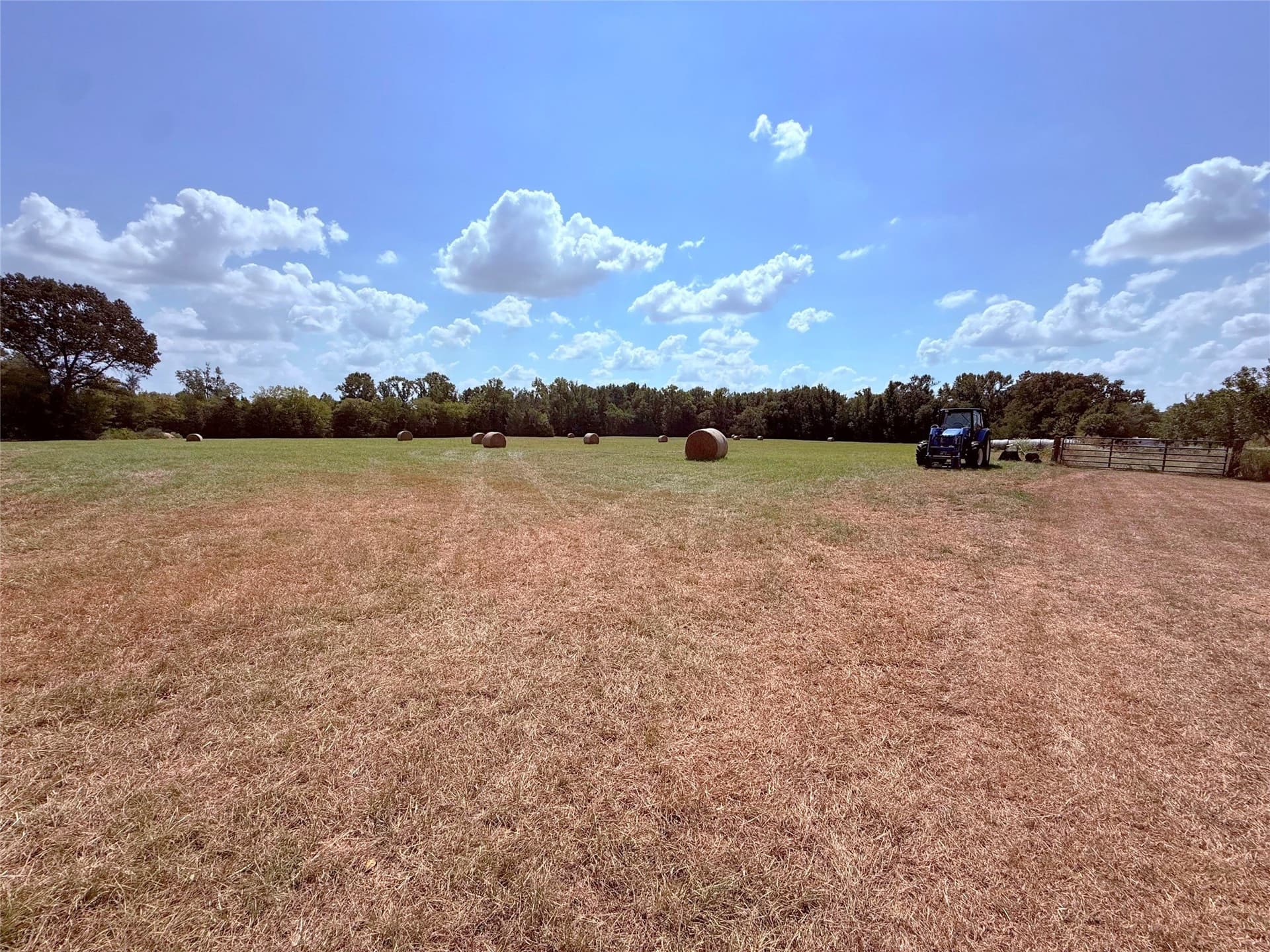 18.28 acres in Hopkins County - photo 4