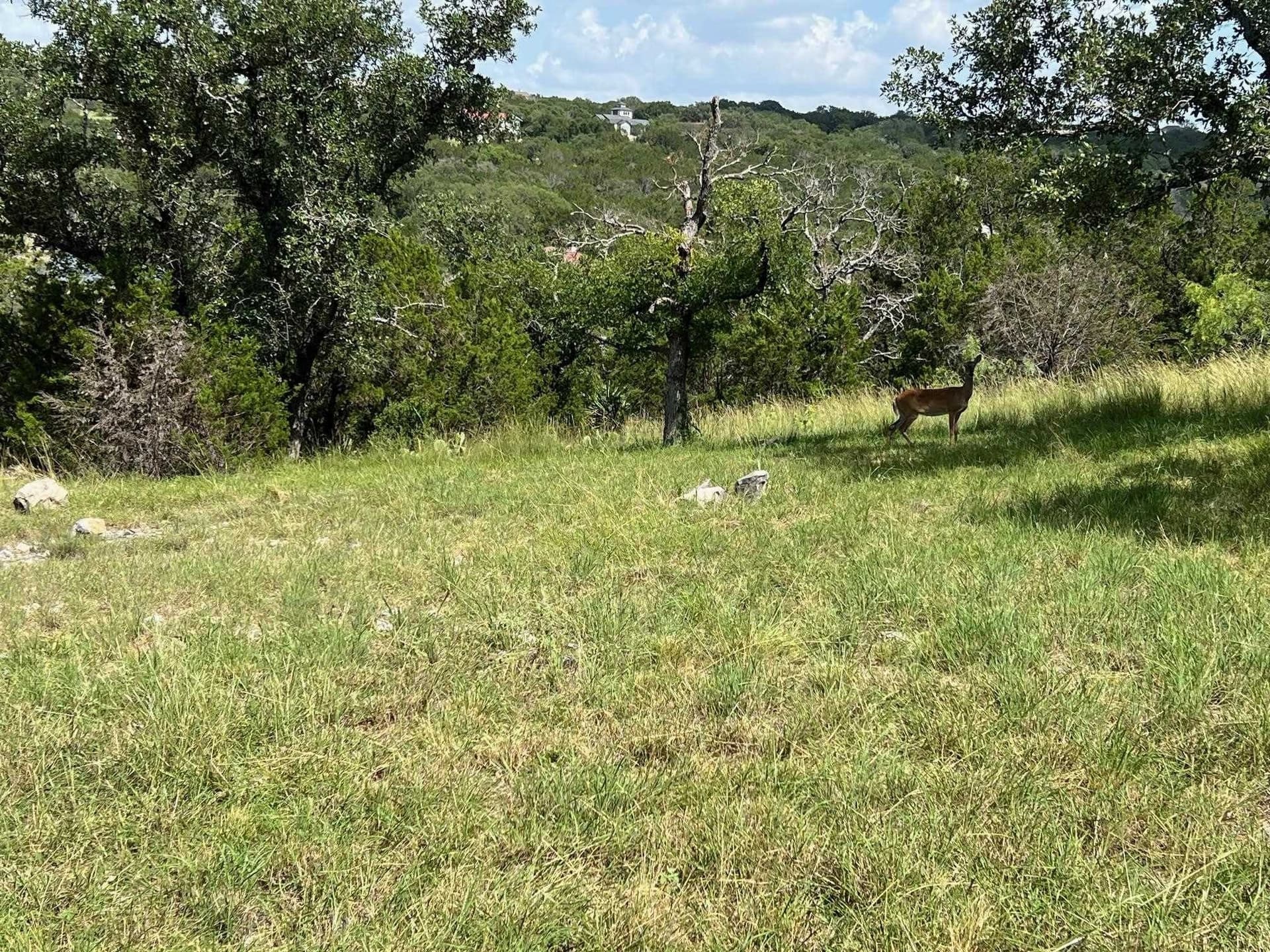 0.23 acres in Llano County gallery image 3