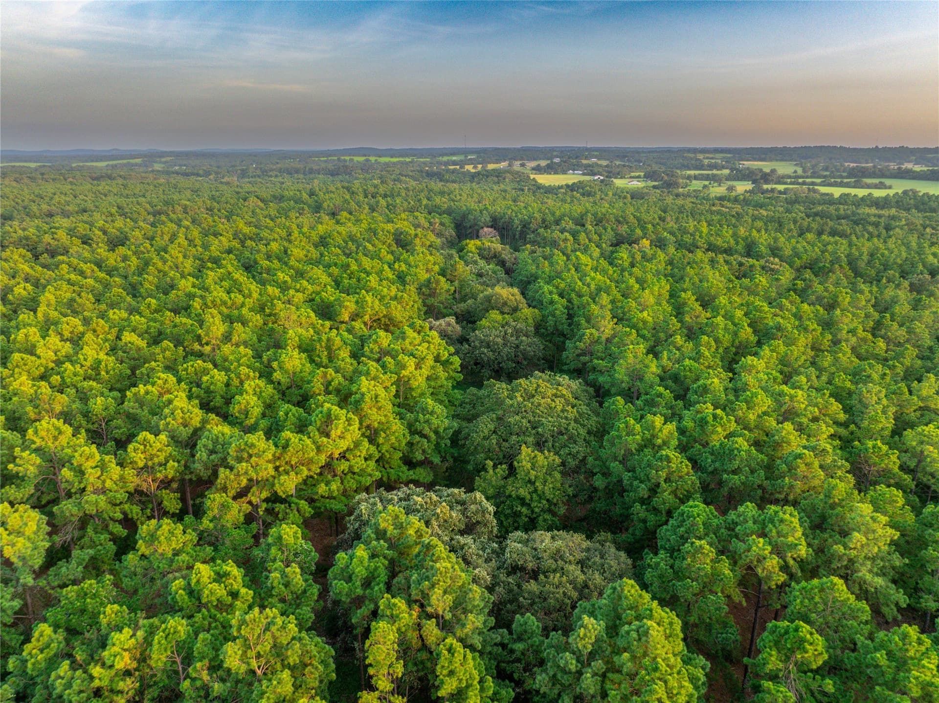 52.5 acres in Henderson County - photo 23