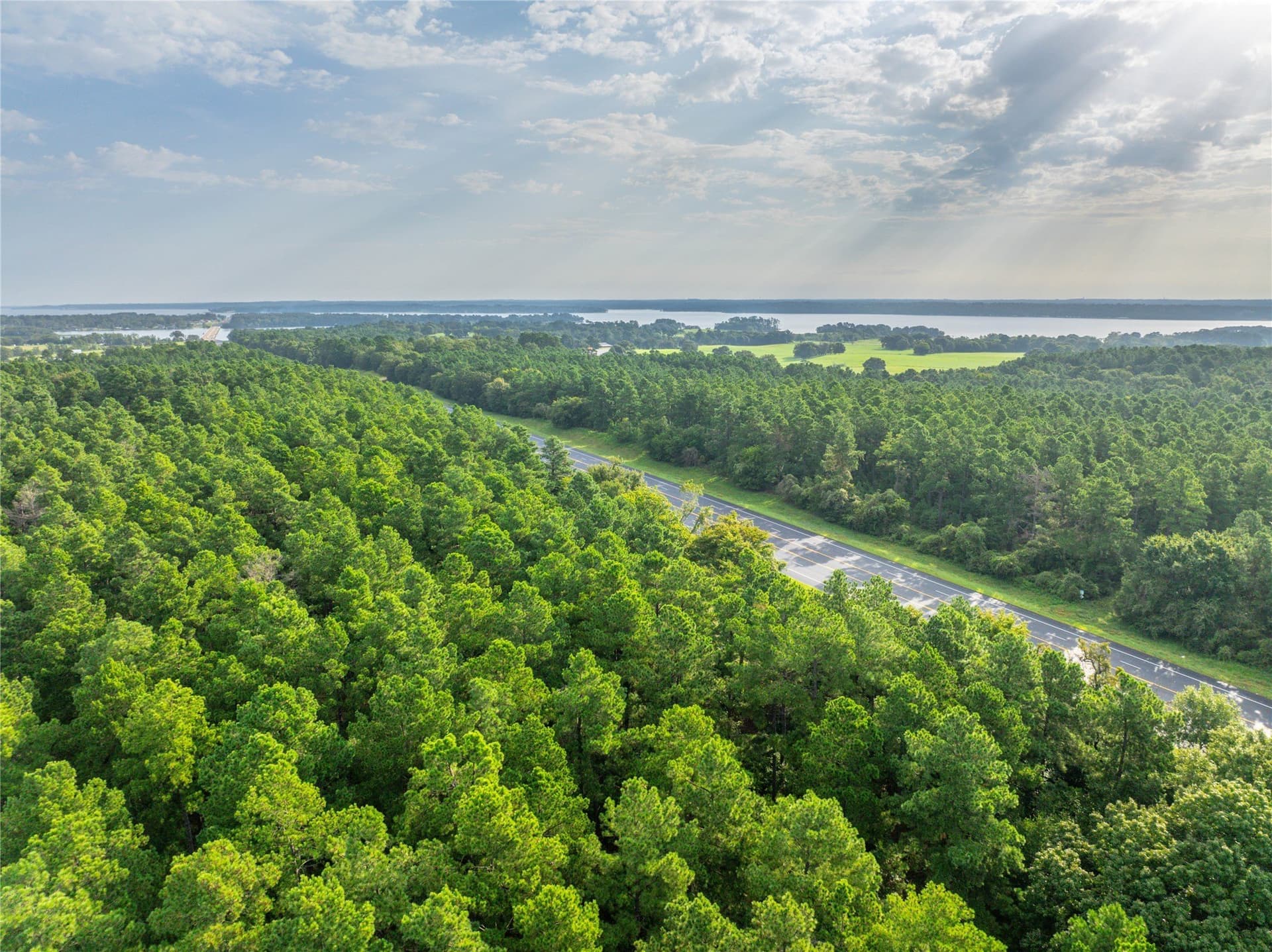 52.5 acres in Henderson County - photo 24
