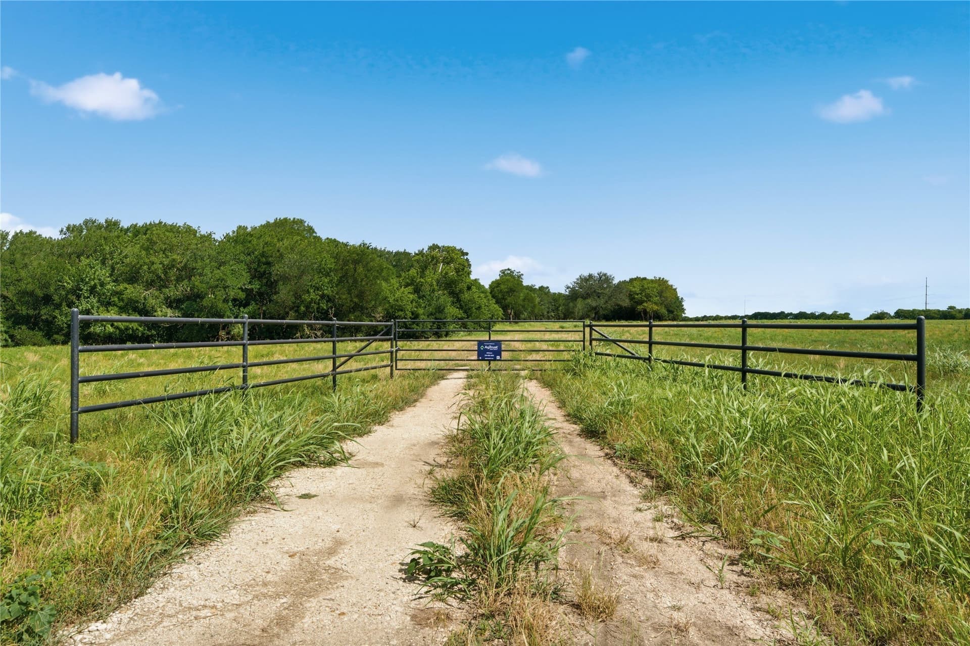 35 acres in Hill County - photo 5