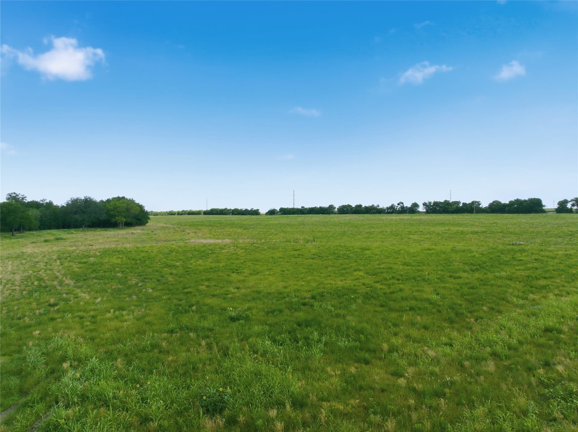 35 acres in Hill County - photo 8