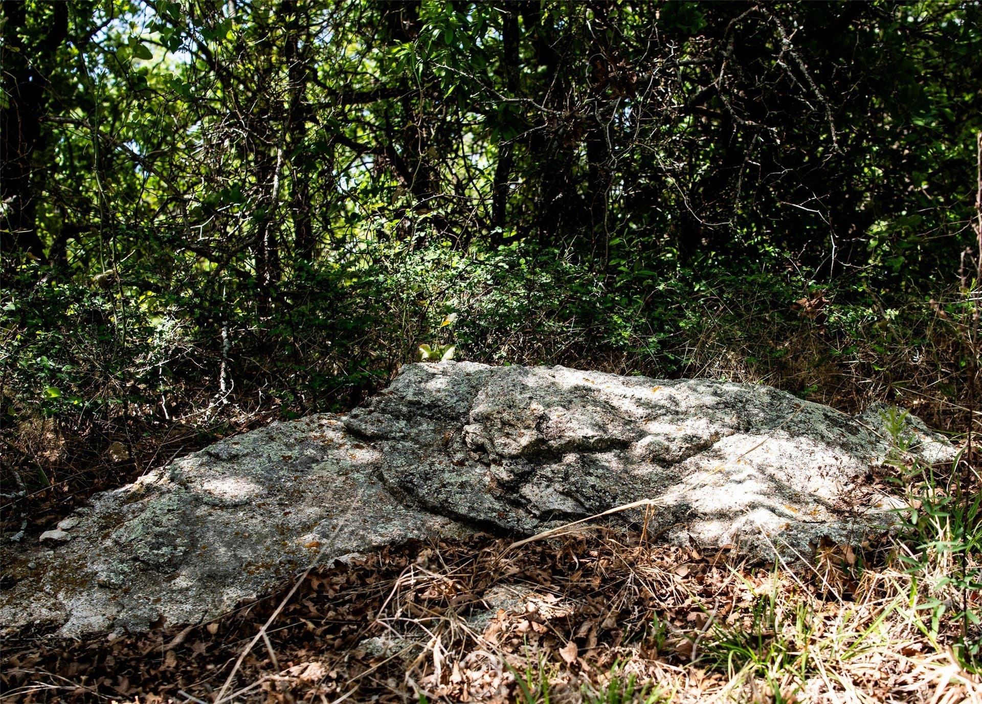 5.01 acres in Montague County - photo 30