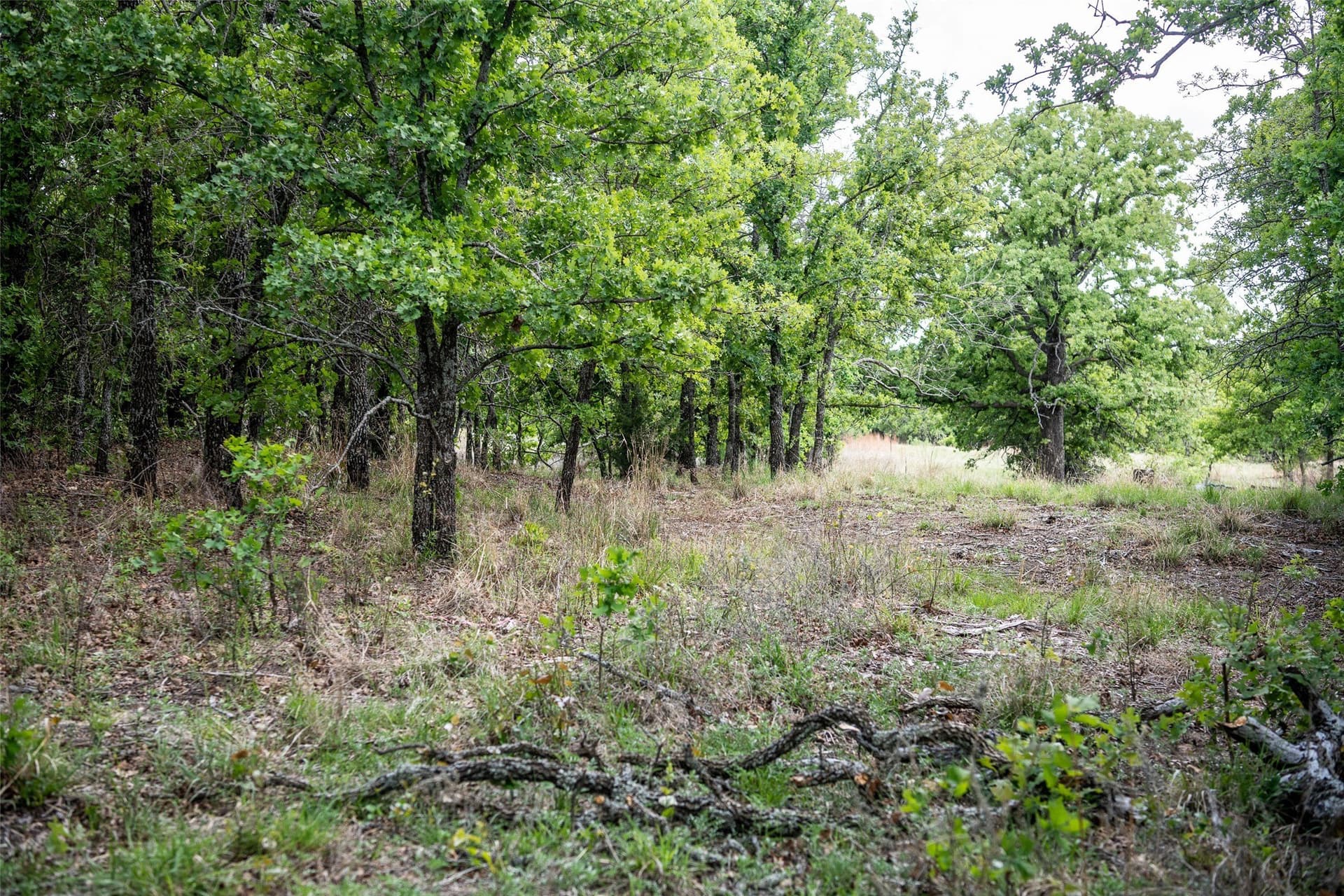 5.01 acres in Montague County - photo 27