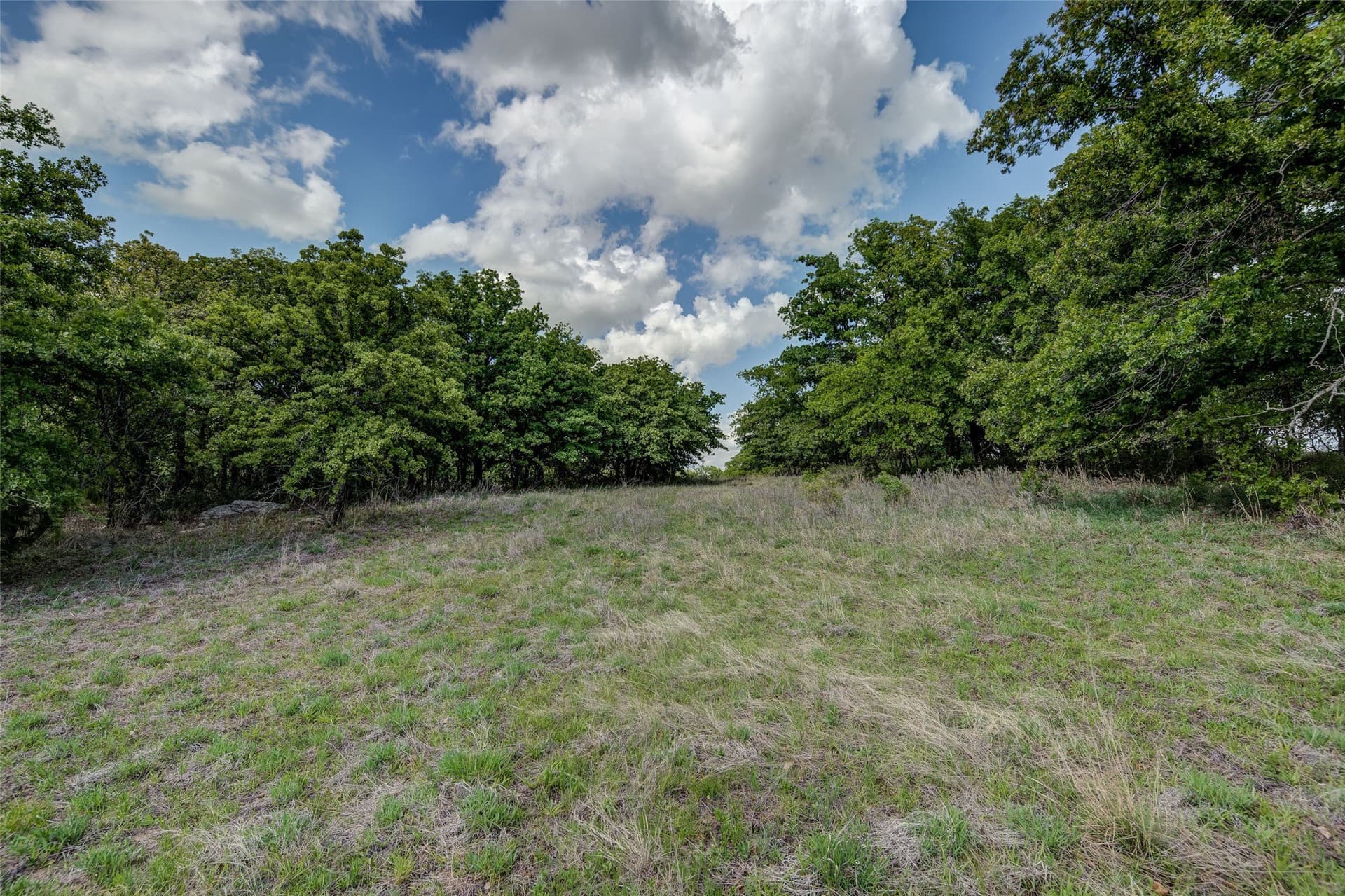 5.01 acres in Montague County gallery image 3