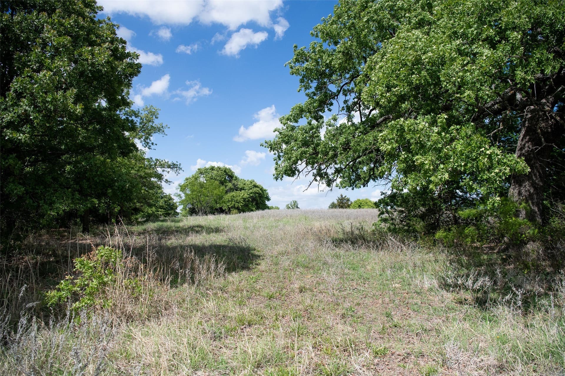 5.01 acres in Montague County - photo 6