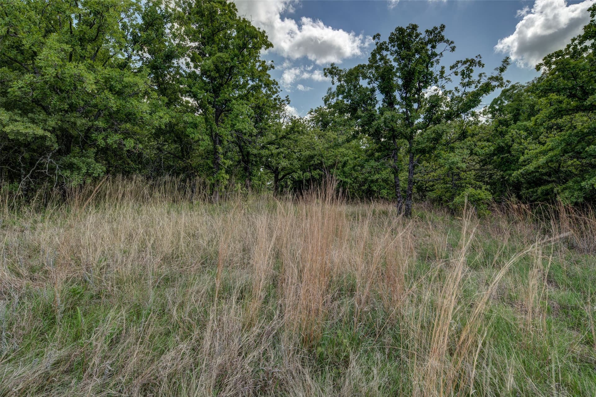 5.01 acres in Montague County - photo 22