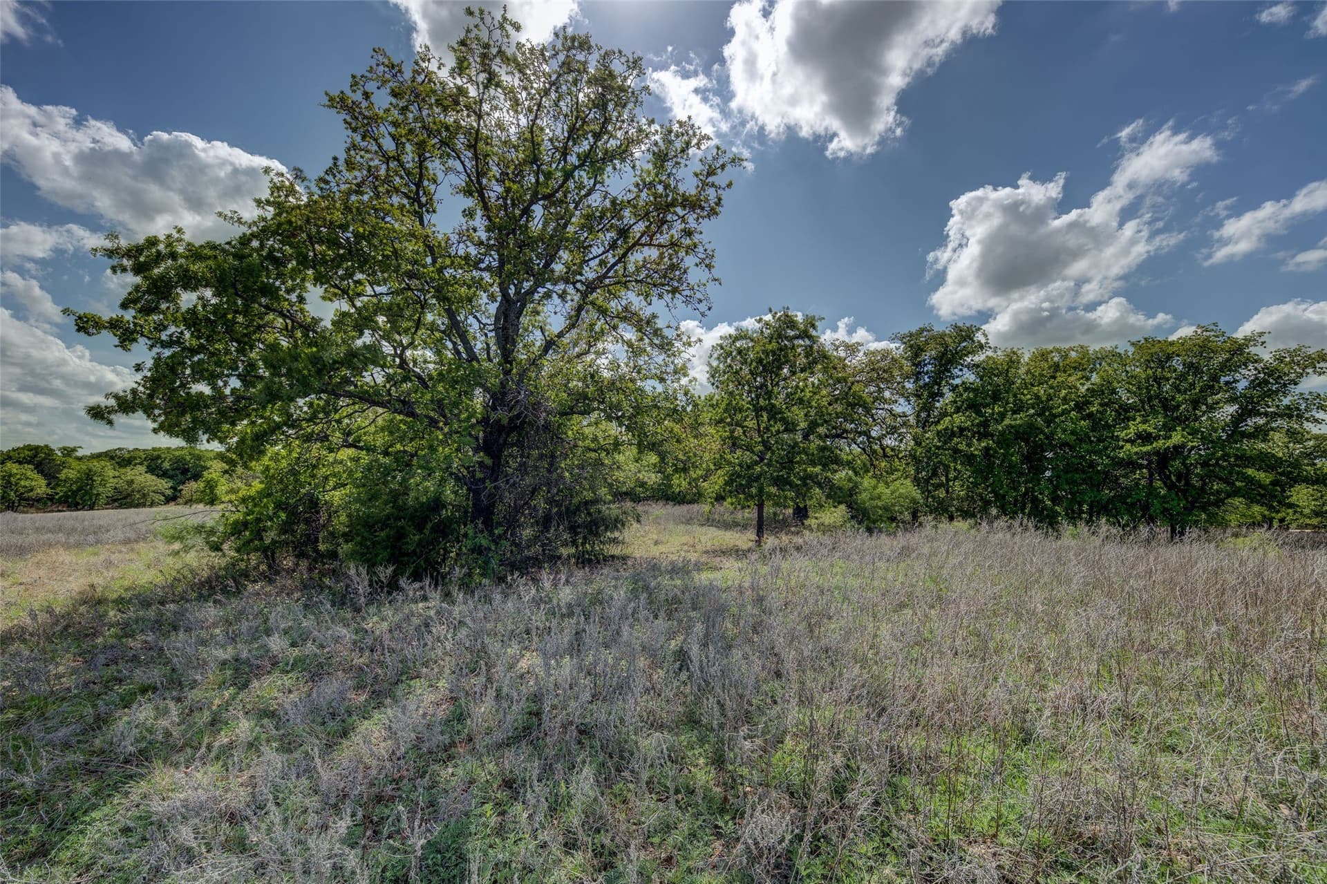 5.01 acres in Montague County - photo 12
